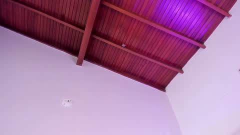 Salome online show from February 2025 05:05:02 PM