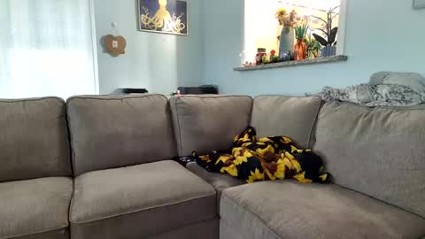 Snapshot of saltycaptain69_hatgirl69 chatting on September 2025 09:37:02 PM Salty Captain 69 Hat Girl 69 online show from September 2025 09:37:02 PM