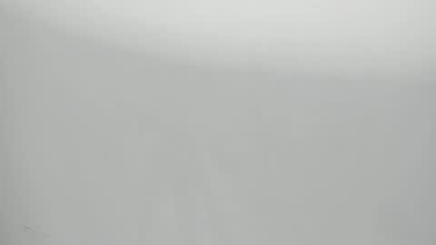 SALVATORE online show from January 2025 11:09:02 AM