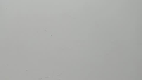 SALVATORE online show from February 2025 11:10:02 AM