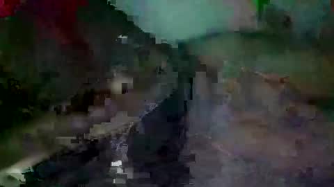 Snapshot of sam223382879 chatting on December 2024 04:25:01 PM sam223382879 online show from December 2024 04:25:01 PM