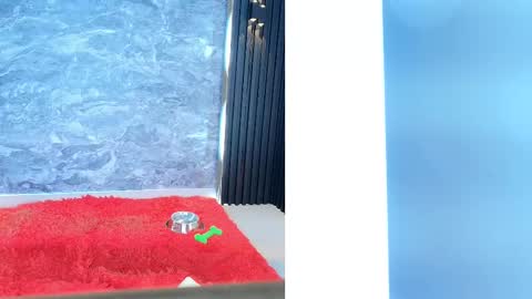 Samantha online show from February 2025 02:02:01 PM