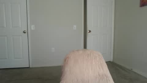 samanthaporsha online show from September 2025 01:55:01 PM