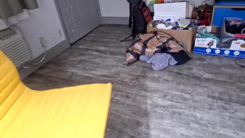 samboiamtho online show from January 2025 06:11:02 AM