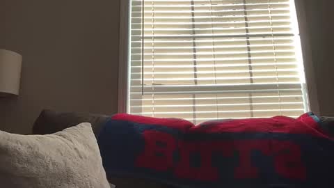 Playful Sammie online show from January 2026 03:49:02 PM