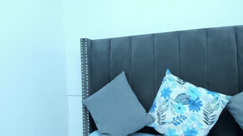 Sammy online show from December 2024 12:24:01 PM