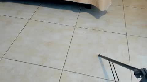 Axel online show from November 2025 12:29:02 PM