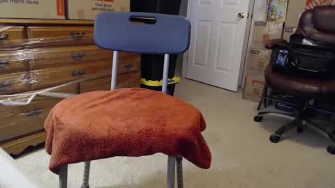 Sammy online show from November 2025 02:29:02 PM