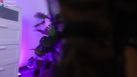 Sandra online show from January 2025 08:45:02 PM