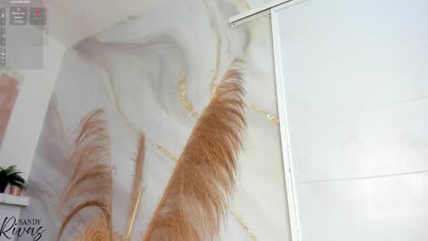 SAM  online show from February 2026 02:49:02 PM