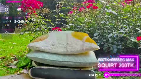 sansa_staark online show from October 2025 07:44:01 AM