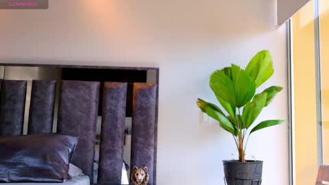 Snapshot of santin_seans chatting on February 2026 01:49:02 PM Santiago Seans online show from February 2026 01:49:02 PM