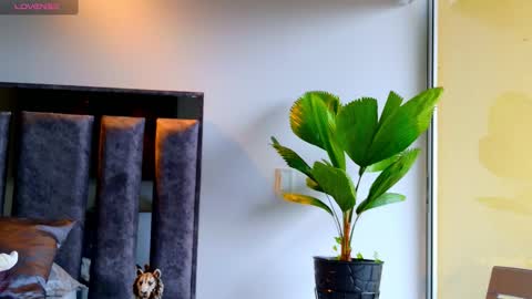 Snapshot of santin_seans chatting on February 2026 01:28:02 PM Santiago Seans online show from February 2026 01:28:02 PM