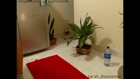sara_johnson__ online show from December 2024 05:48:01 PM