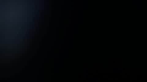 Snapshot of sara_winehouse1 chatting on January 2025 02:29:02 PM 1 online show from January 2025 02:29:02 PM