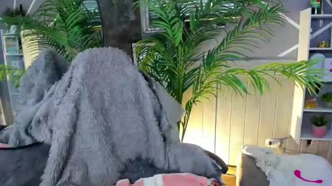 sofia gomez420 online show from December 2024 09:42:01 AM