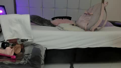   online show from February 2025 10:29:02 AM