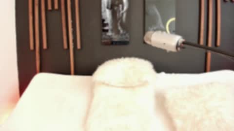     online show from December 2024 04:58:01 PM