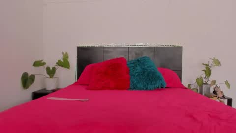 Girl next door online show from January 2025 07:35:02 PM