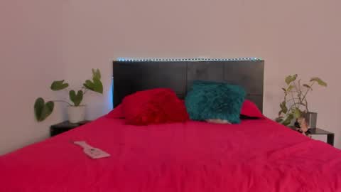 Girl next door online show from January 2025 09:25:02 PM