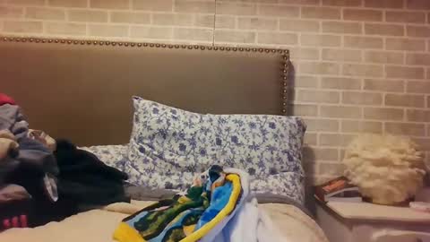 Sara online show from December 2024 12:07:02 AM