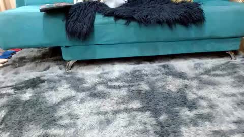 Snapshot of sarita_klein chatting on November 2025 03:34:02 PM sarita_klein online show from November 2025 03:34:02 PM