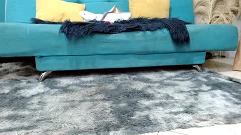 sarita_klein online show from March 2026 02:24:01 PM