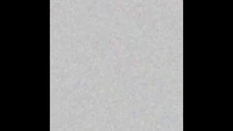 sarita online show from October 2025 07:58:01 AM