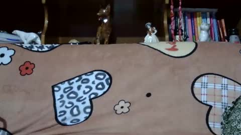 Sarra online show from December 2024 08:27:01 PM