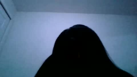 sashacoxxx online show from December 2025 02:16:02 AM