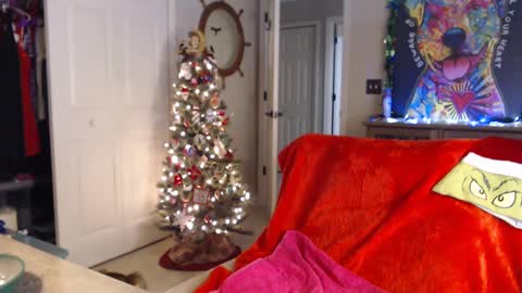 Trish online show from January 2025 07:41:02 AM