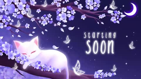 Sassy Sami Kittyn online show from November 2025 06:03:01 AM