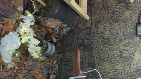 sassylatin45 online show from March 2025 01:47:02 AM