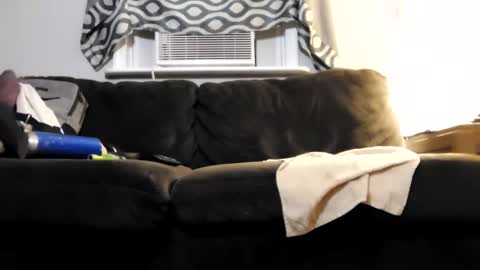 sayhi2mylilguy online show from February 2025 07:45:02 AM