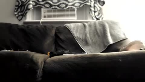 sayhi2mylilguy online show from March 2025 08:07:01 AM