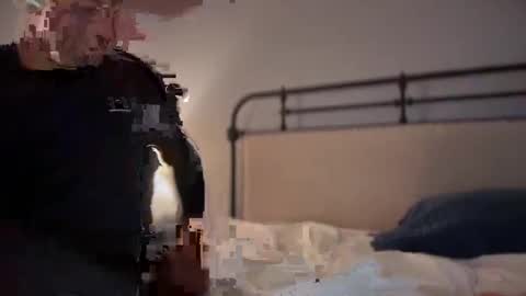 sbsdbfs online show from November 2025 07:07:02 PM