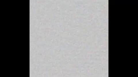 Venus online show from November 2025 02:08:01 PM