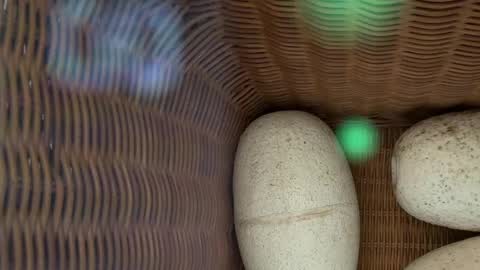 scarlajade online show from May 2026 02:51:02 AM