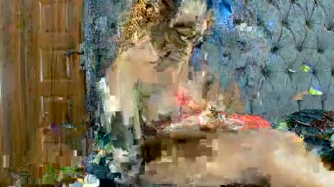 Snapshot of scarlet_seductress chatting on March 2026 11:22:02 PM scarlet seductress online show from March 2026 11:22:02 PM