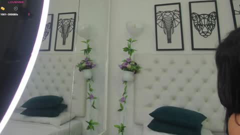 Snapshot of scarlet_stan22 chatting on February 2025 11:01:02 AM Isa online show from February 2025 11:01:02 AM