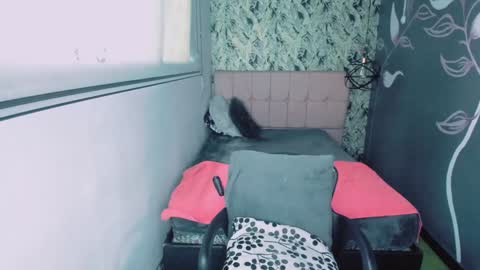 S C A R L E T online show from January 2025 11:53:02 AM