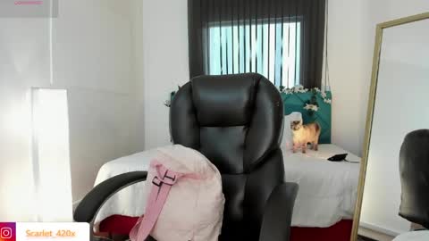 Scarlett online show from May 2026 12:00:02 PM