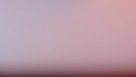 Scarlett online show from February 2025 05:22:02 PM