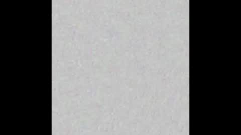 Scolw  online show from December 2025 12:00:01 PM