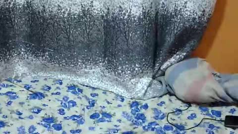 Snapshot of scorviaamanda254 chatting on January 2025 07:00:01 PM Its Lilly online show from January 2025 07:00:01 PM