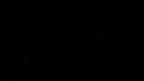 . online show from January 2025 06:57:01 PM