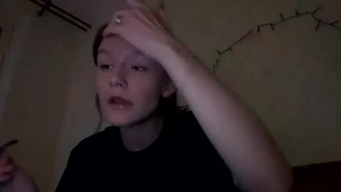 sdddisk online show from December 2024 01:22:02 PM