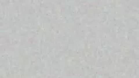 Snapshot of seaman91 chatting on May 2026 07:08:02 PM Seaman online show from May 2026 07:08:02 PM