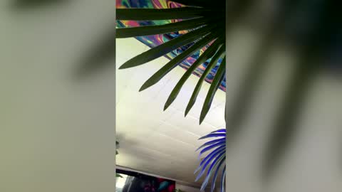 Snapshot of seanplushouse chatting on February 2026 07:48:01 PM seanplushouse online show from February 2026 07:48:01 PM