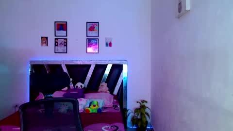 Sebas online show from May 2026 11:50:02 AM